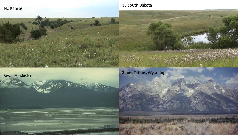 Pictures of four different landscapes